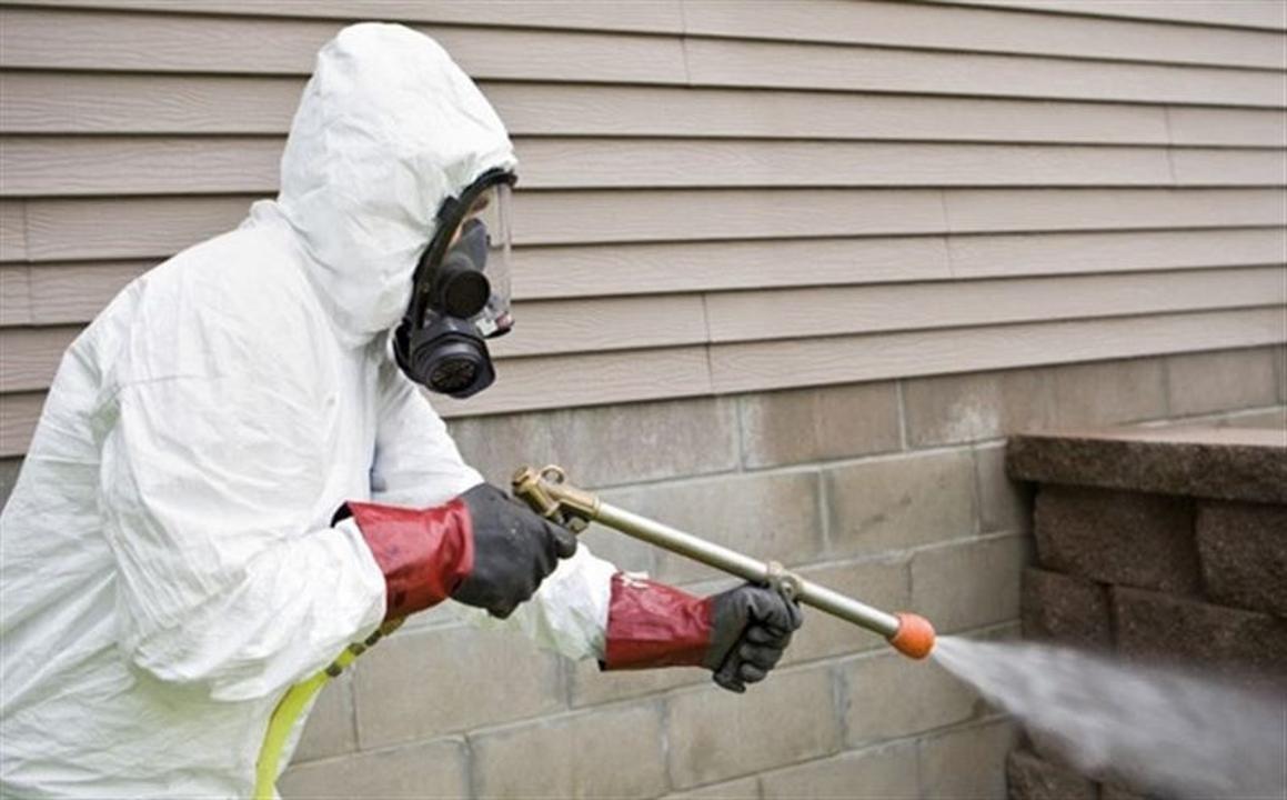 استانادا كەمىرگىشتەرگە قارسى كوكتەمگى كۇرەس ناۋقانى باستالدى