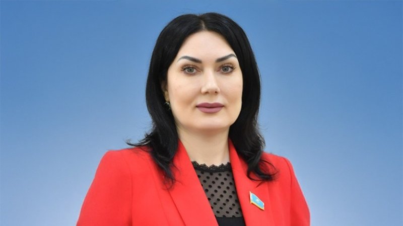 كەلەشەكتىڭ سەنىمدى كەپىلى