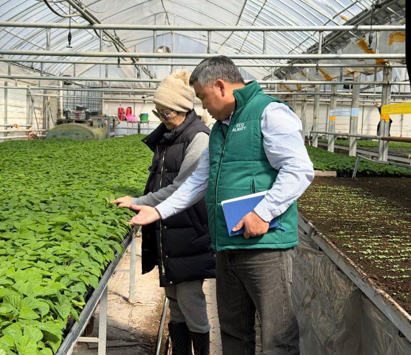 گۇلزارلار اۋماعى 77%-عا ۇلعايادى: بيىل الماتىدا قانداي گۇلدەر ەگىلەدى؟