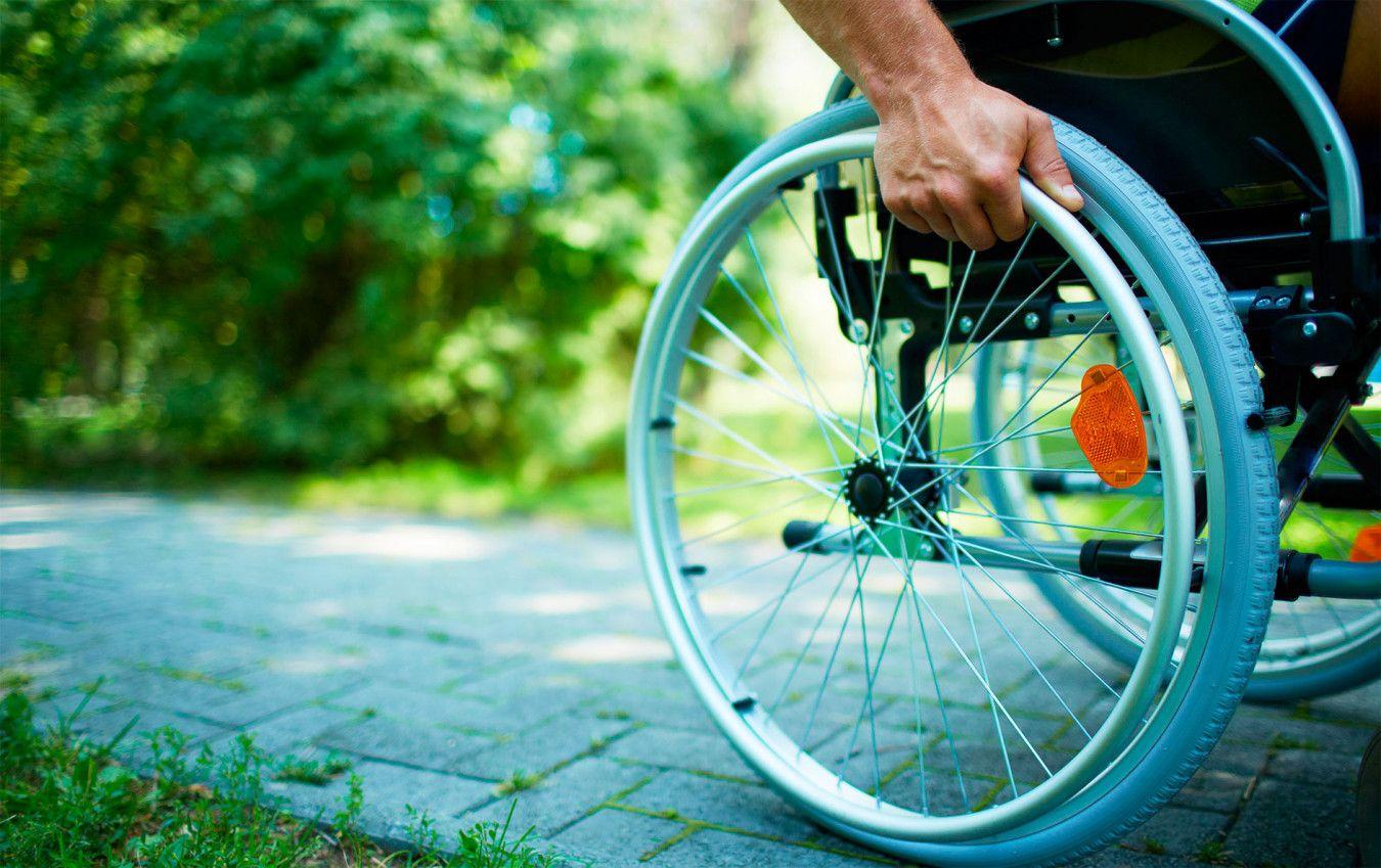 قامكوڭىل جاندار قامقورلىقسىز قالمايدى