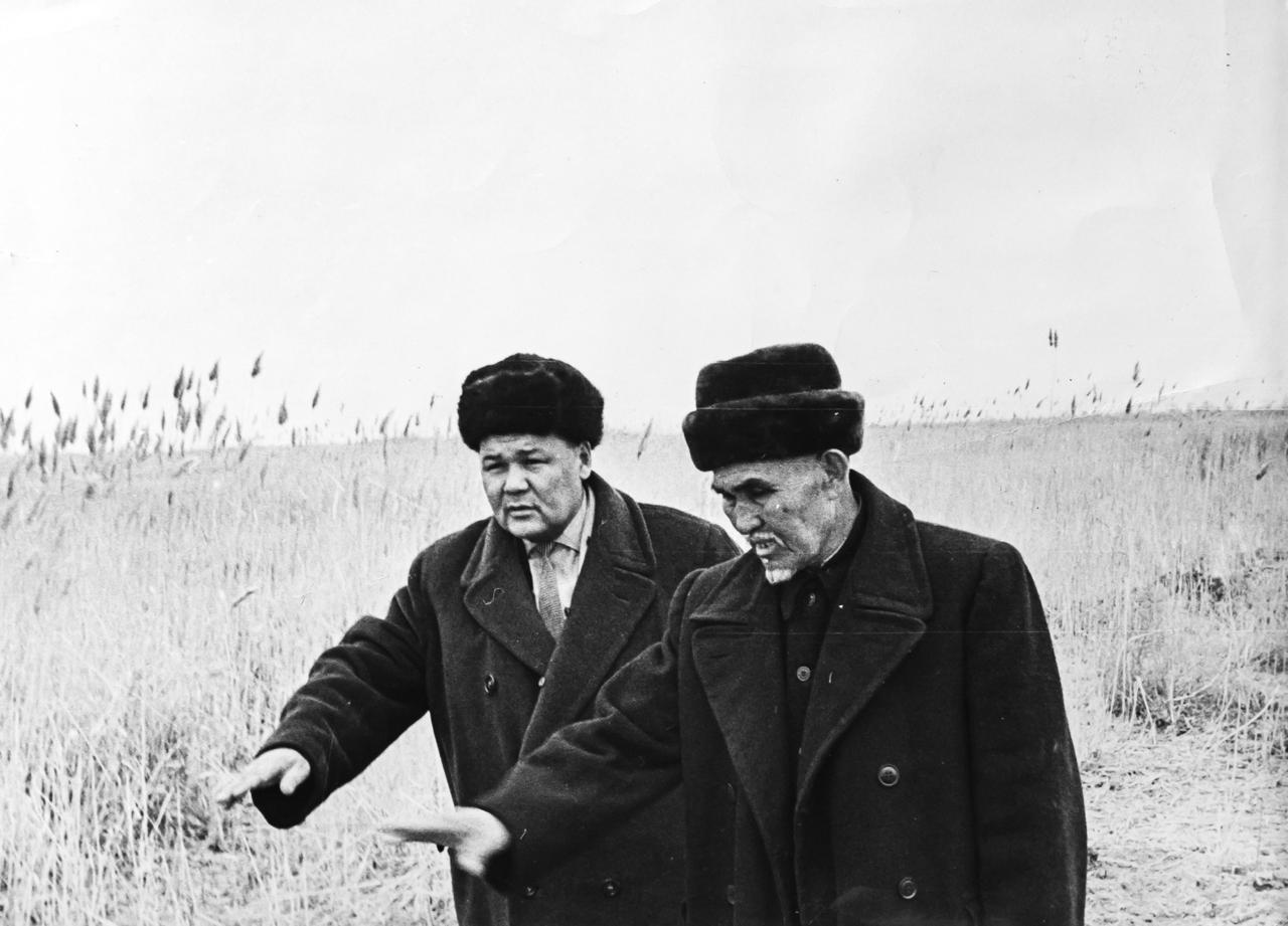 نوكەرسىز جۇرگەن, نوسەرگە توزگەن