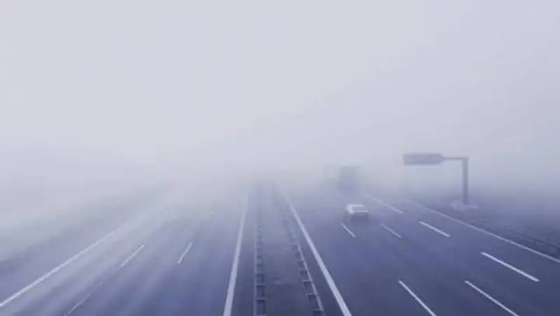 قازاقستاندا قاي جولدار جابىق تۇر؟