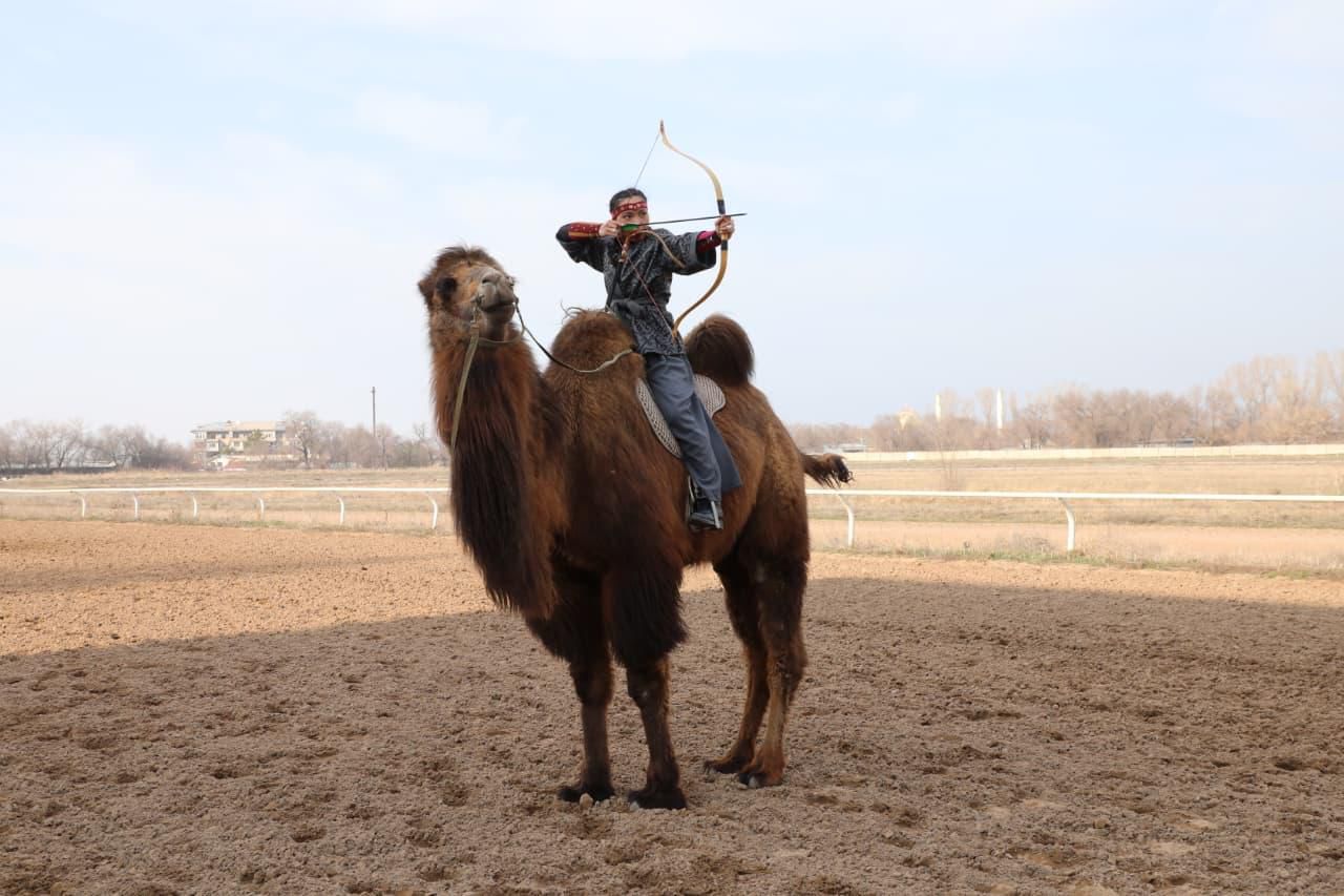 الەمدىك رەكورد ورناتتى