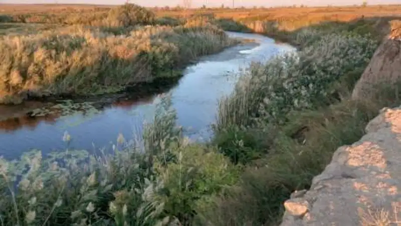 اقتوبە وبلىسىندا جوعالعان 10 جاستاعى بالا ەلەك وزەنىنەن ىزدەستىرىلىپ جاتىر