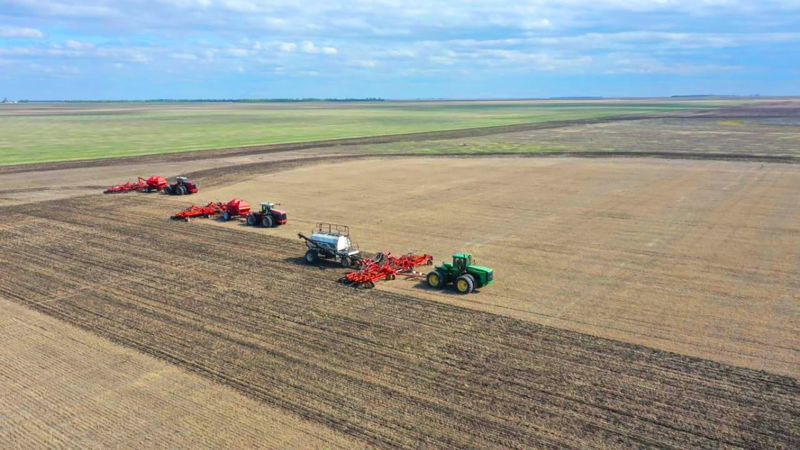 كوكتەمگى دالا جۇمىسى قارقىن الدى