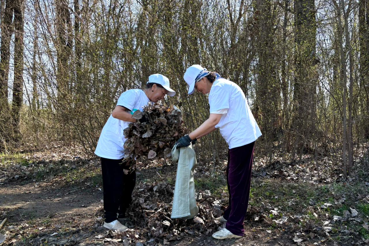 الماتى وبلىسىندا «تازا بەيسەنبى» اكتسياسى بارىسىندا 35 توننا قوقىس پوليگونعا جونەلتىلدى