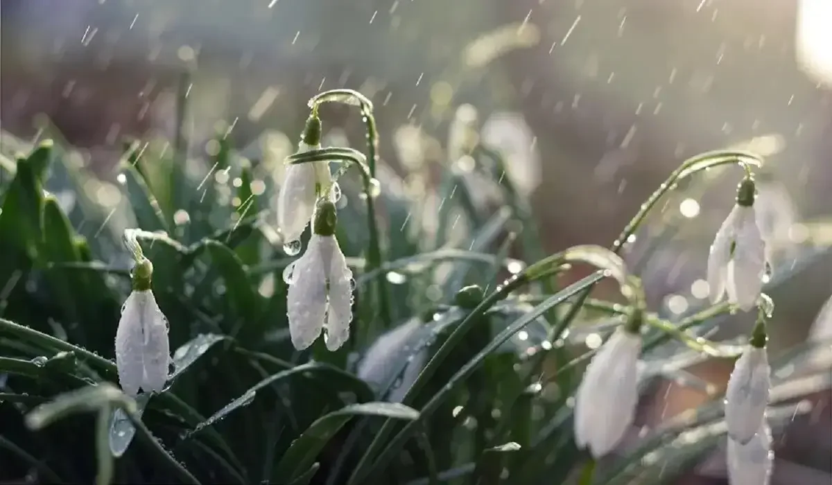 ەلىمىزدىڭ باسىم بولىگىندە داۋىلدى ەسكەرتۋ جاريالاندى