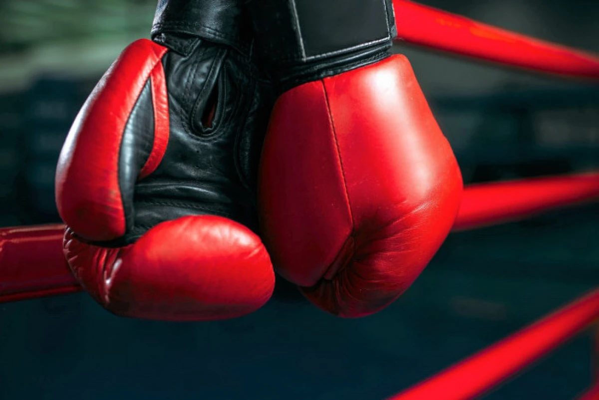 ۇكىمەت جاڭا تۇجىرىمدامانى بەكىتتى: بوكس سالاسىندا قانداي وزگەرىس بولادى؟