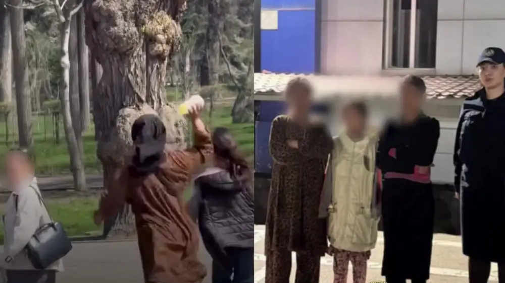 الماتىدا ءتارتىپ بۇزعان جاسوسپىرىمدەر ەل اۋماعىنان شىعارىلۋى مۇمكىن