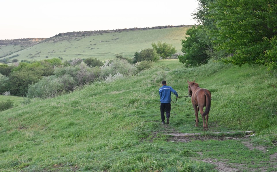 مال ۇرلىعى تىيىلماي تۇر