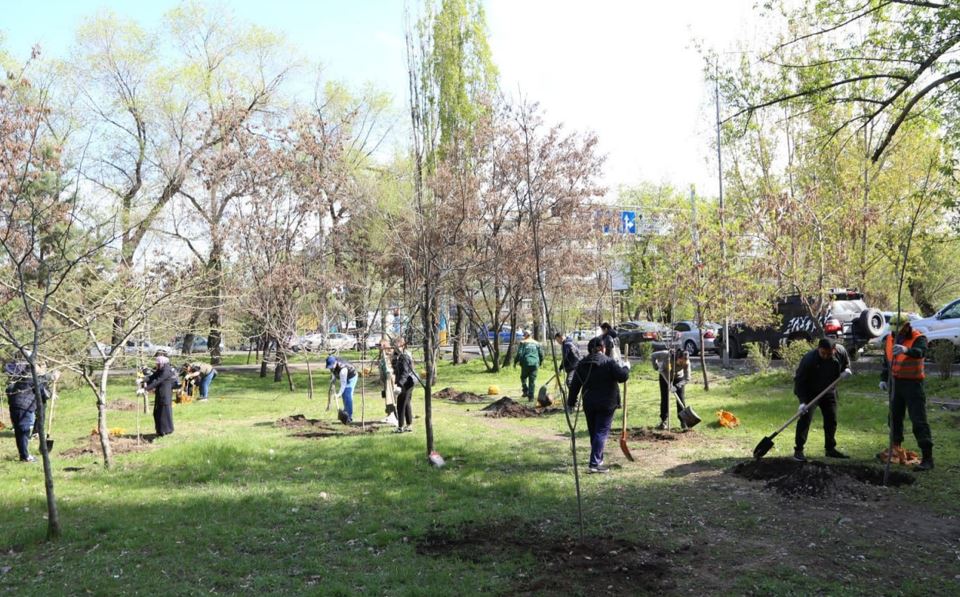 «تازا قازاقستان»: بيىل الماتىدا 550 مىڭنان استام اعاش وتىرعىزىلادى