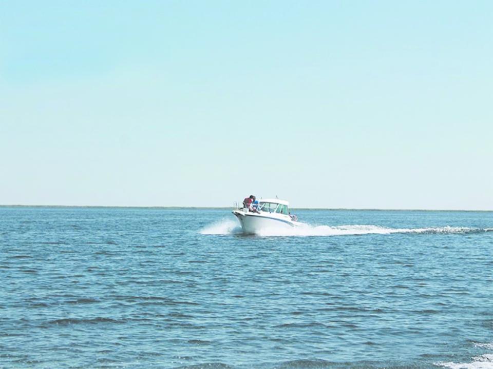 بالقاش كولى جاعالاۋىنداعى جەر ۋچاسكەلەرى ينۆەستورلارعا اشىق اۋكتسيون ارقىلى ۇسىنىلادى