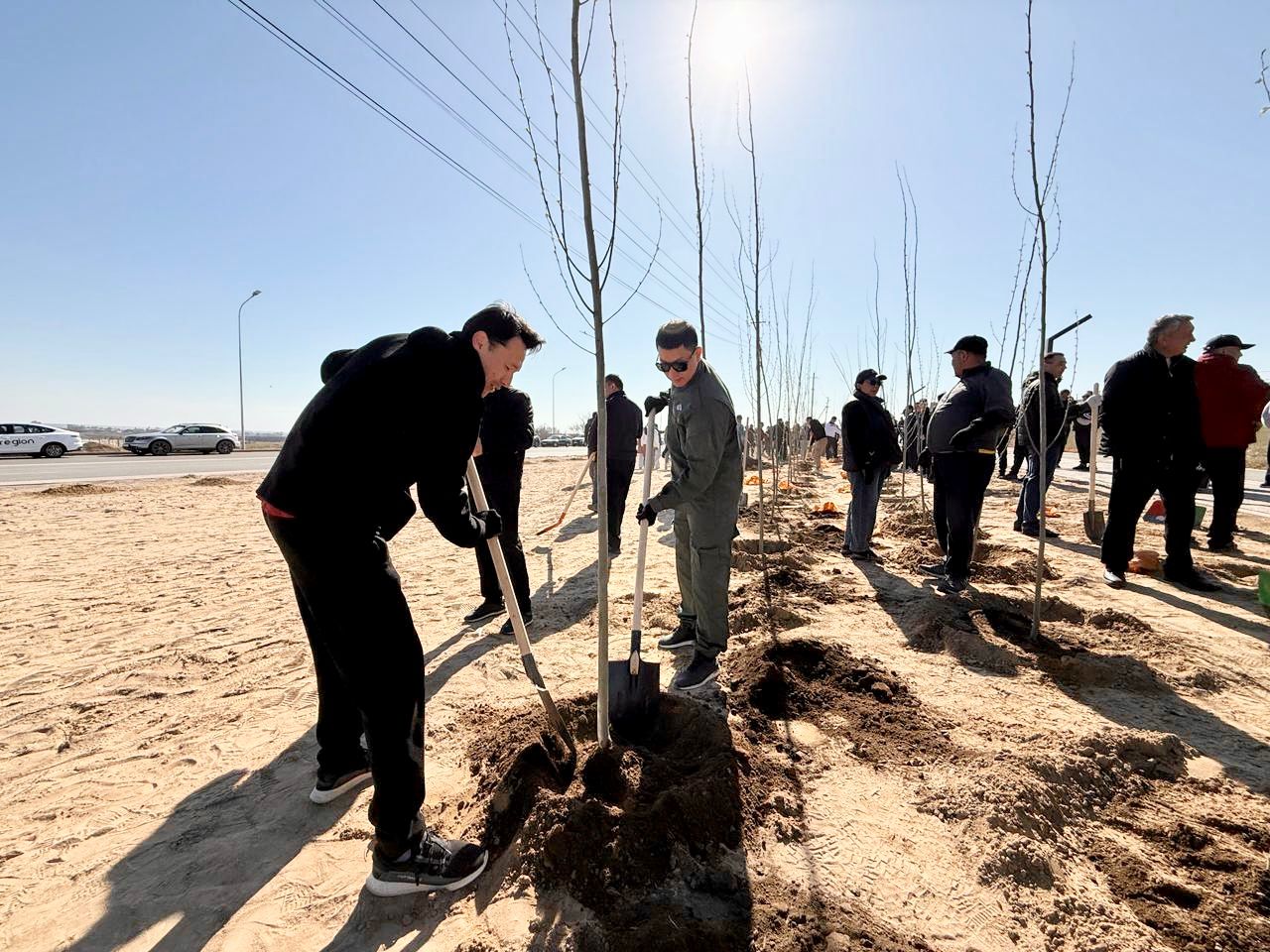 3000 ءتۇپ اعاش ەگىلدى