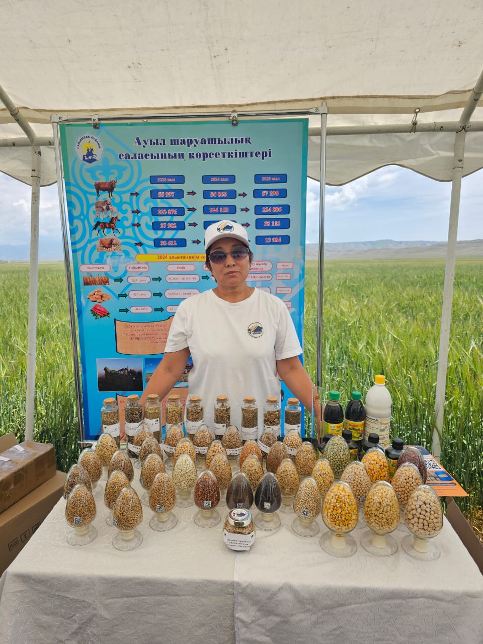 ازىق-ت ۇلىك ساپاسى: حيميالىق تىڭايتقىشتار دەنساۋلىققا قالاي اسەر ەتەدى؟