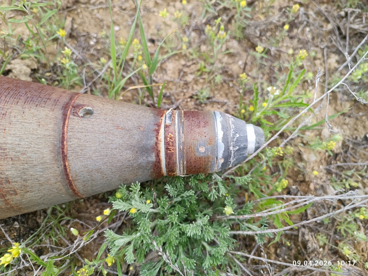 اقتاۋ قالاسى ماڭىنان وق-دارىگە ۇقساس زات تابىلدى
