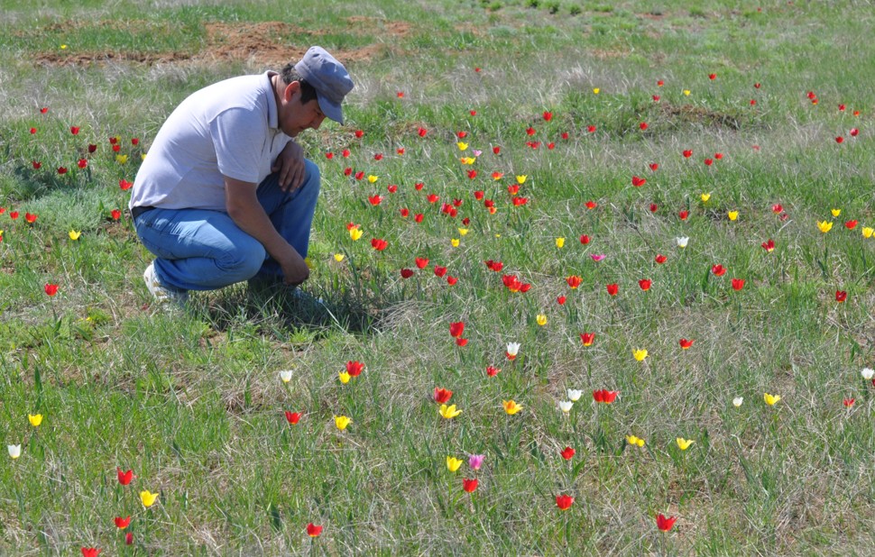 جابايى قىزعالداقتار قورعاۋدى قاجەت ەتەدى
