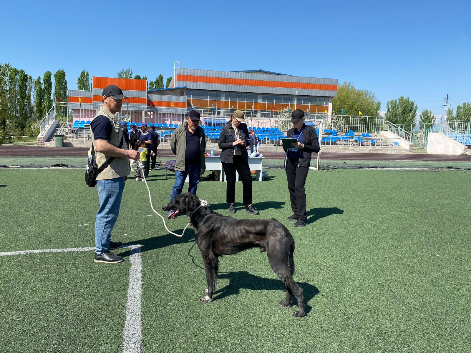 ەكى وبلىستا تازى تۇقىمىن انىقتاۋعا ارنالعان بايقاۋ ءوتتى