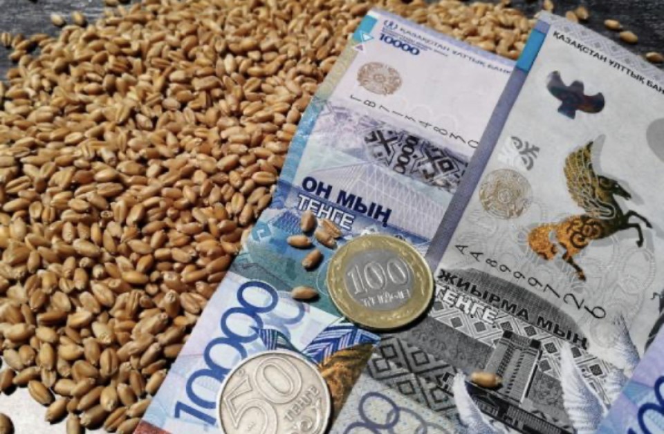 شارۋالارعا تۇسەتىن قارجىلىق جۇكتەمەنى ازايتۋ: بەكتەنوۆ ۇكىمەت قاۋلىسىنا ءتيىستى وزگەرىستەر ەنگىزۋدى تاپسىردى