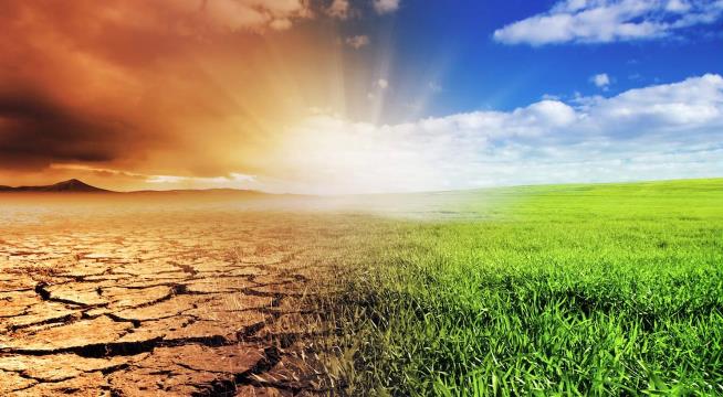 DeepBas: قۇرعاقشىلىققا قارسى جاڭا تەحنولوگيا ەنگىزىلەدى