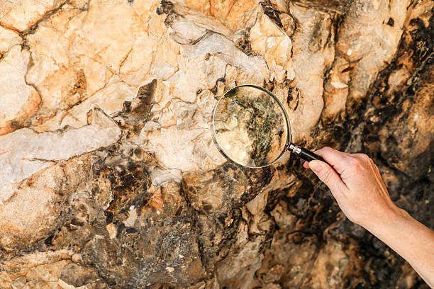 تۇرىك كومپانيالارى ەلدەگى مۇناي-گاز قورلارىن بارلاۋعا كومەكتەسپەك