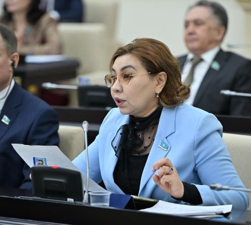 تسيرفلىق سەرۆيس: دەپۋتات «تاۋەلسىز قىزمەتكەر» مارتەبەسىن بەكىتۋدى ۇسىندى