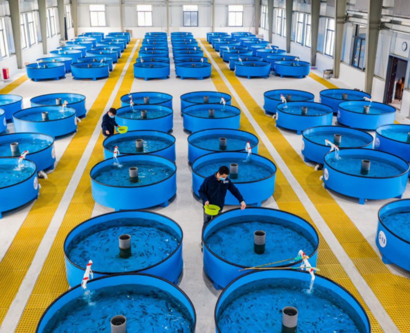 بالىق باققان وزار