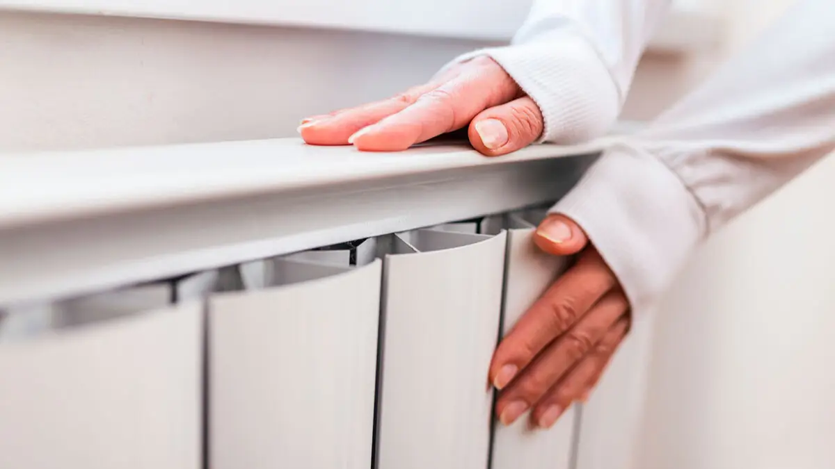 ەلوردادا جىلۋ بەرۋ ماۋسىمى اياقتالدى