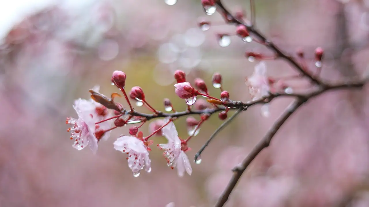 ەلىمىزدىڭ باسىم بولىگىندە اۋا رايىنا بايلانىستى ەسكەرتۋ جاريالاندى