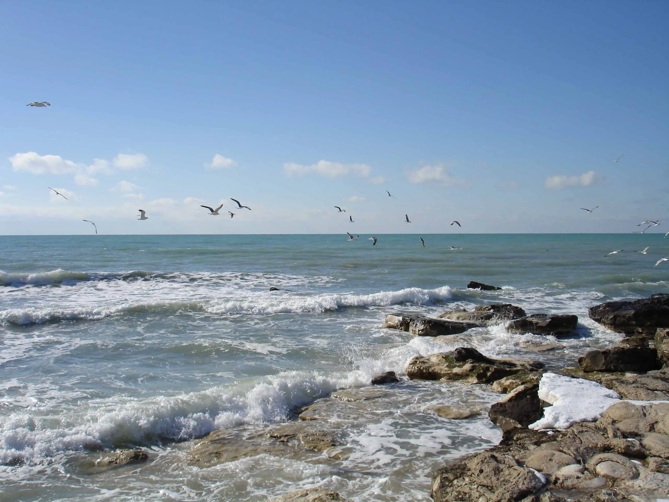 كاسپي تەڭىزىنىڭ دەڭگەيى 21 مەترگە دەيىن تومەندەۋى مۇمكىن