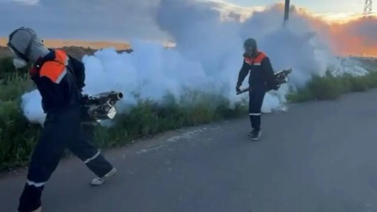 استانادا ماسا مەن شىبىن-شىركەيگە قارسى كۇرەس كۇشەيتىلدى