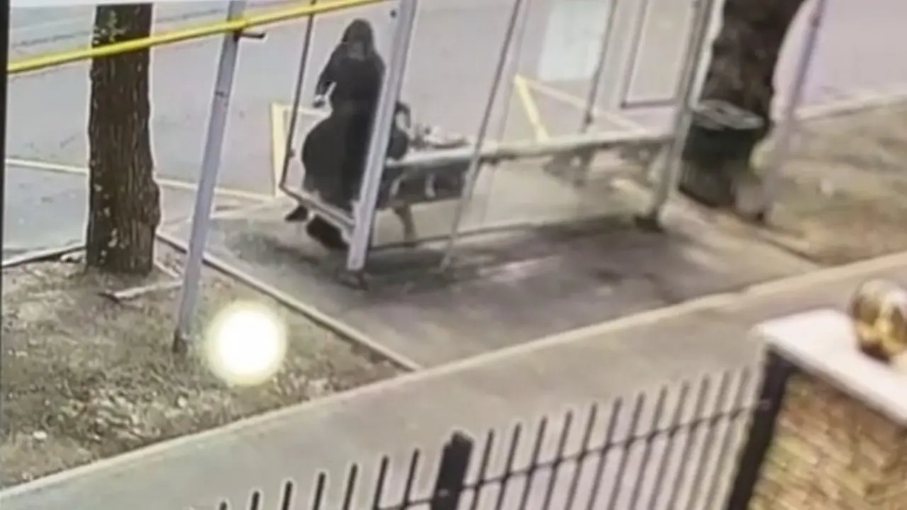 الماتىدا ايالدامادا زەينەتكەردى سوققىعا جىققان ەر ادام ۇستالدى