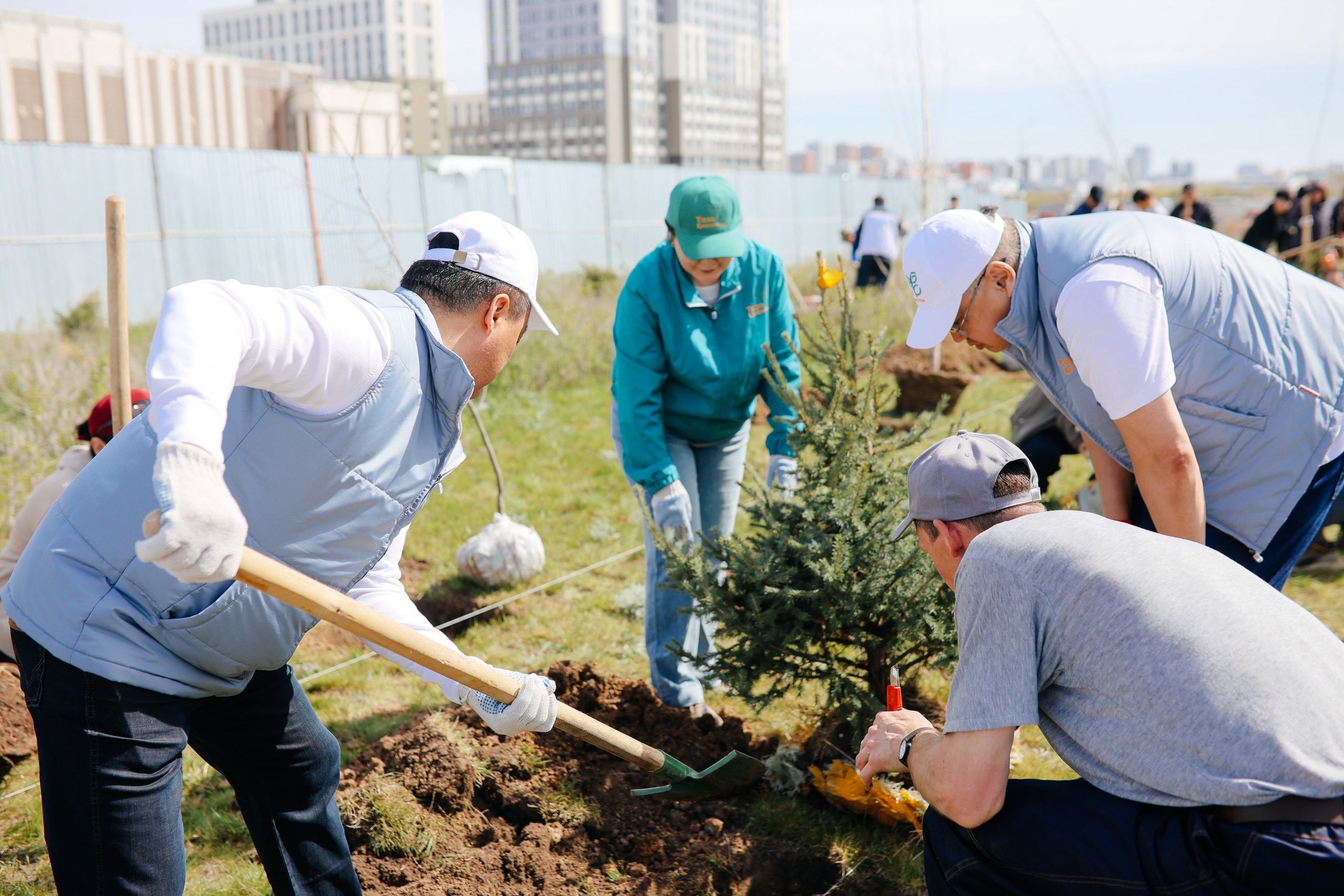 استانادا ءتۇرلى سالا قىزمەتكەرلەرى بىرلەسىپ اعاش وتىرعىزدى