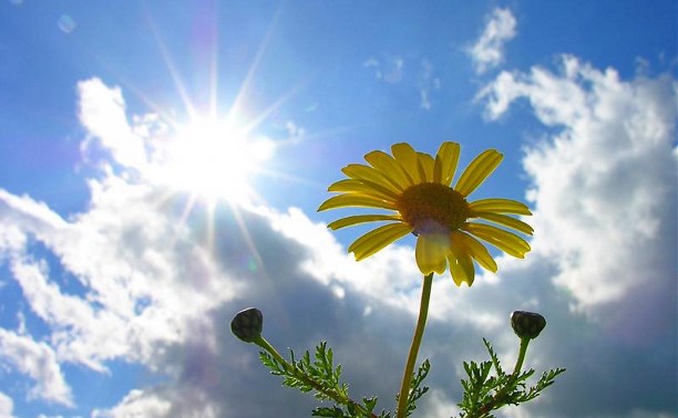 سولتۇستىكتە جەل كۇشەيىپ, وڭتۇستىكتە كۇن ىسيدى: 25 ساۋىرگە ارنالعان اۋا رايى بولجامى