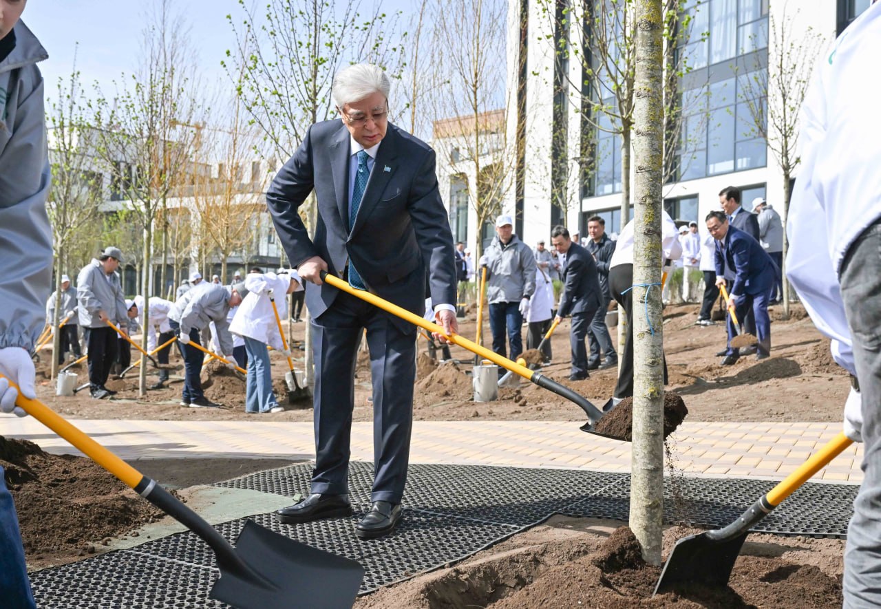 قاسىم-جومارت توقاەۆ «سامال» ساياباعىندا اعاش وتىرعىزدى