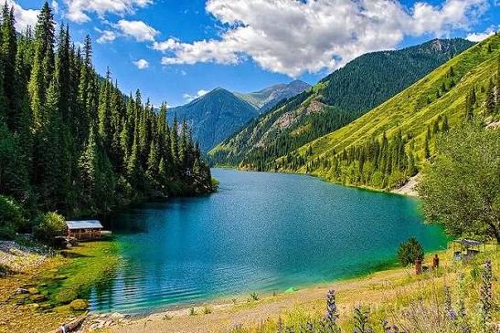 كولسايداعى وقىس وقيعا: تۋريستىك ميكرواۆتوبۋس بەتكەيدەن قۇلاپ كەتتى