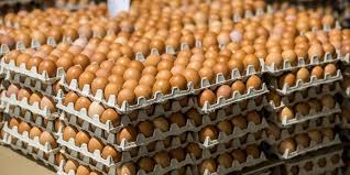 قازاقستان جۇمىرتقا يمپورتىنا شەكتەۋ قويدى: نارىقتا وتاندىق ءونىم ۇلەسى ارتتى