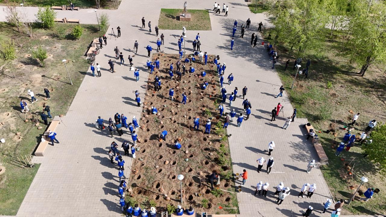 «تازا قازاقستان»:  ۇلىتاۋدا جىل باسىنان بەرى 2 مىڭ توننادان اسا قوقىس شىعارىلدى