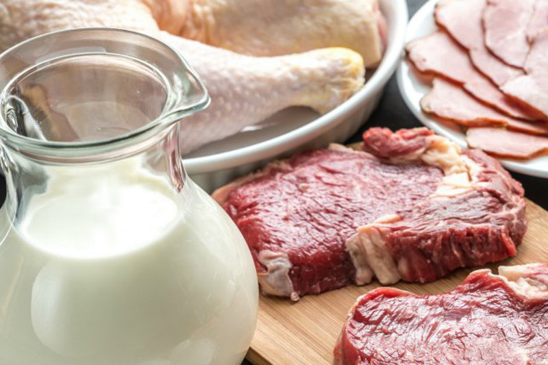 استانادا ەت, ءسۇت ونىمدەرىن ارزان باعادا قايدان الۋعا بولادى؟