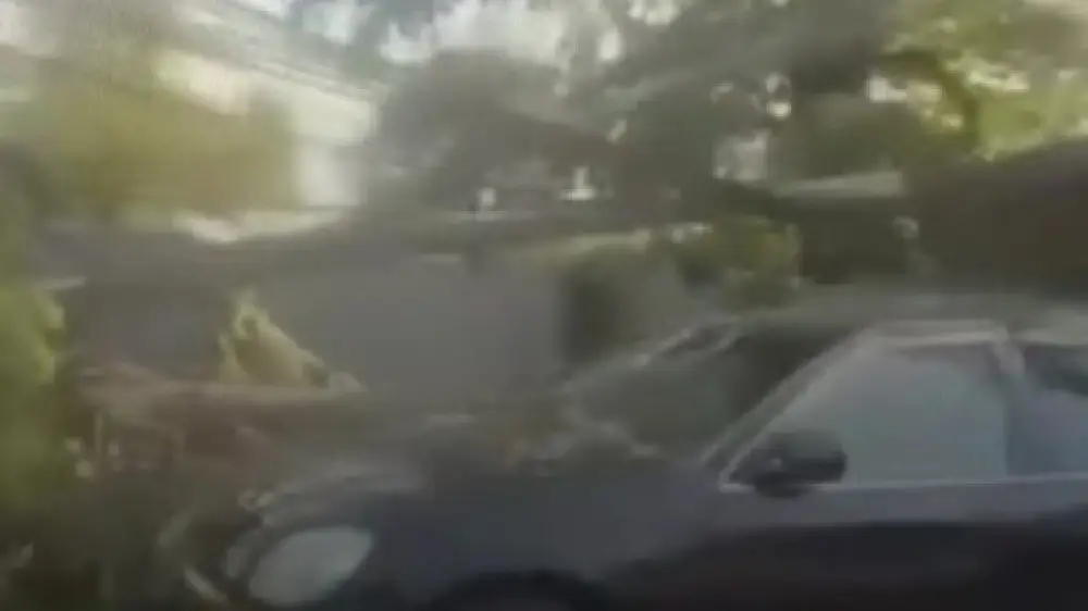 الماتىدا اعاش قۇلاپ, كولىكتەر مەن ەلەكتر جەلىلەرىن زاقىمدادى