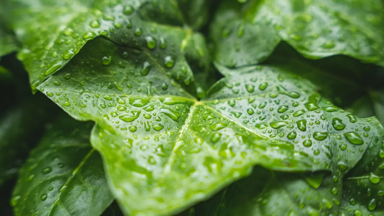 1 مامىردا قازاقستاندا اۋا رايى كۇرت قۇبىلادى