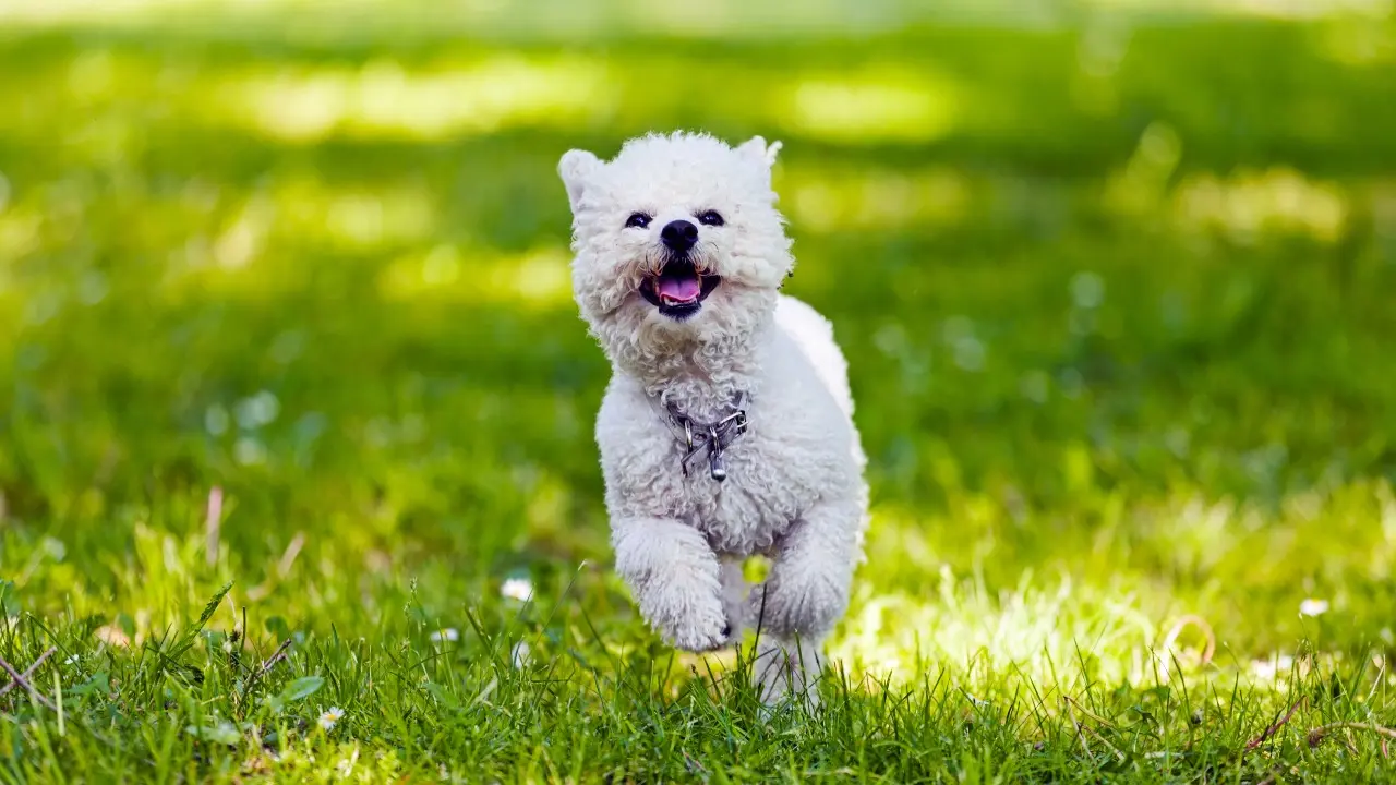 اپتاپ ىستىق, نوسەر, بۇرشاق: مامىر ايىندا اۋا رايى قۇبىلمالى بولادى