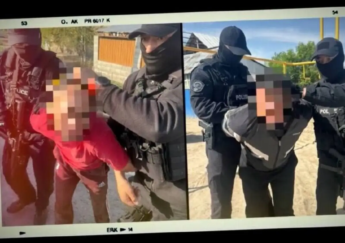 12 جىلعا سوتتالۋى مۇمكىن: الماتى وبلىسىندا مال ۇرلىعىمەن اينالىسقان ەكى توپ قاماۋعا الىندى