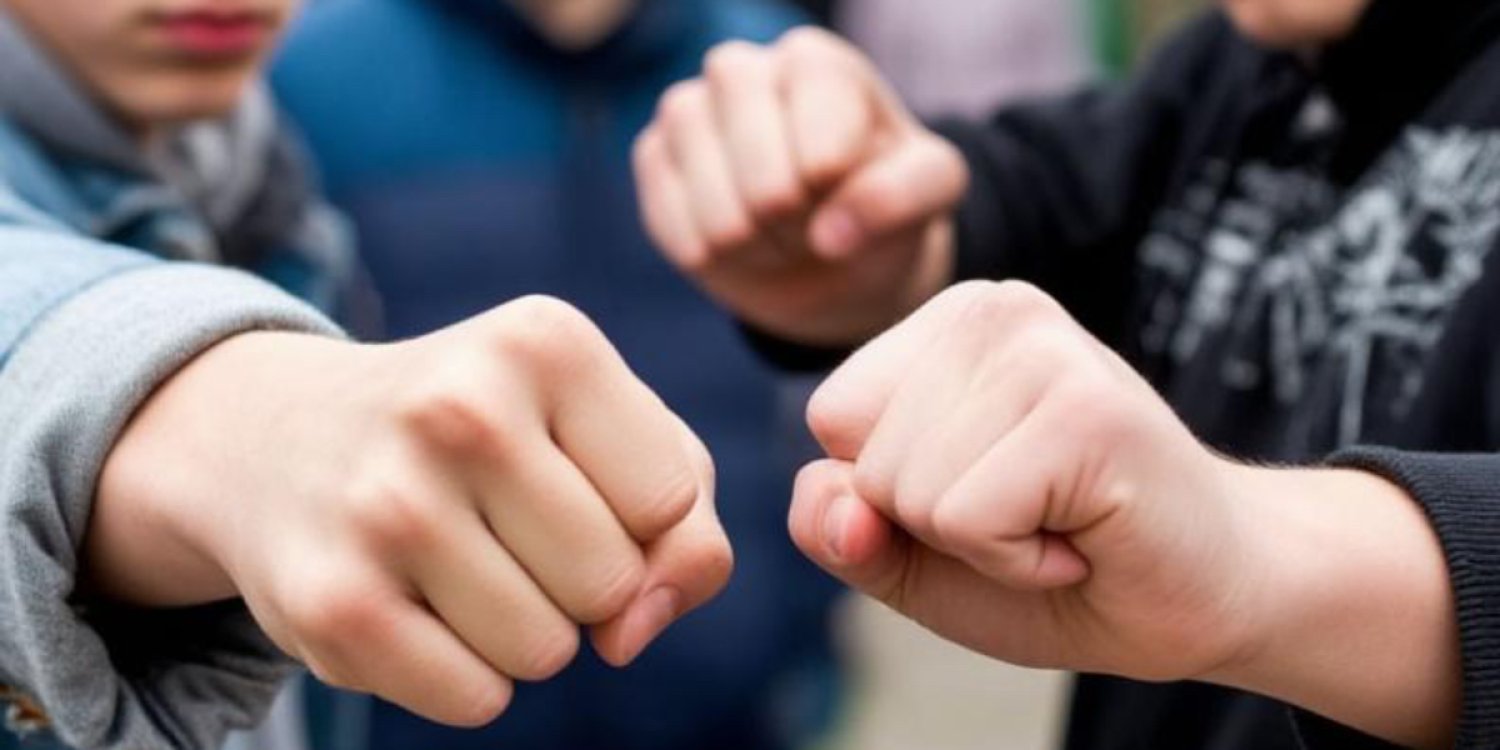 تۇرار اۋىلىنداعى جاپپاي توبەلەستىڭ ۆيدەوسى تارادى