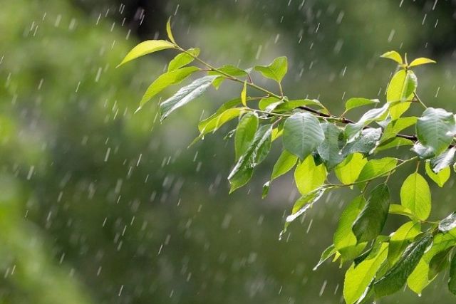الداعى ءۇش كۇندە اۋا رايى قانداي بولادى؟