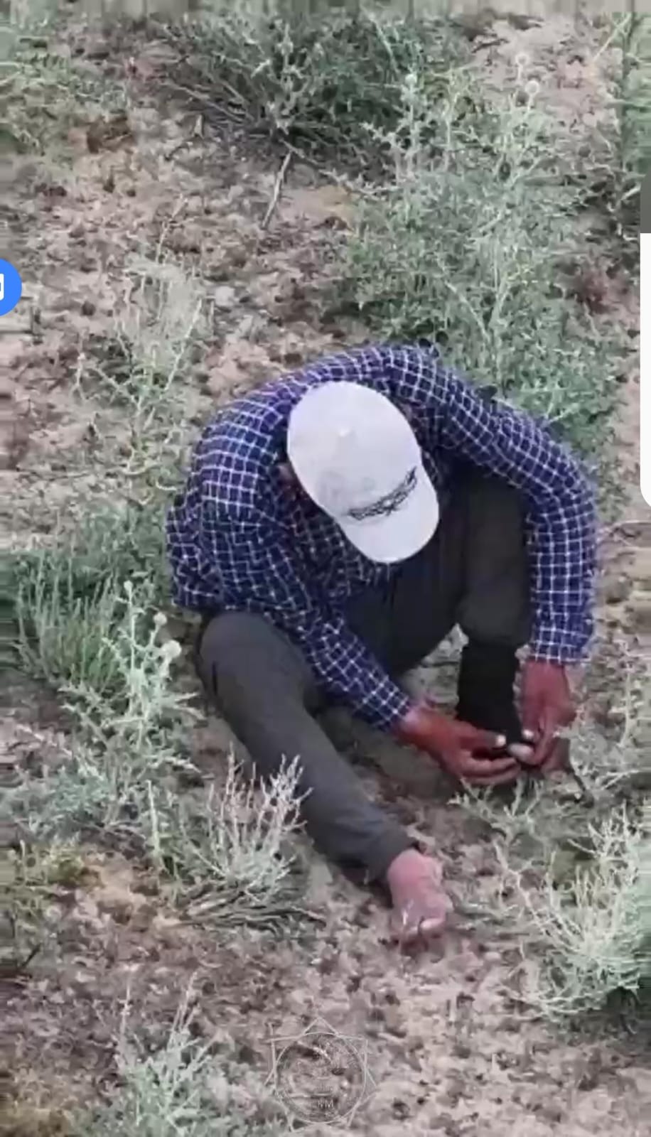 جامبىل وبلىسىندا جوعالىپ كەتكەن ازامات دروننىڭ كومەگىمەن تابىلدى