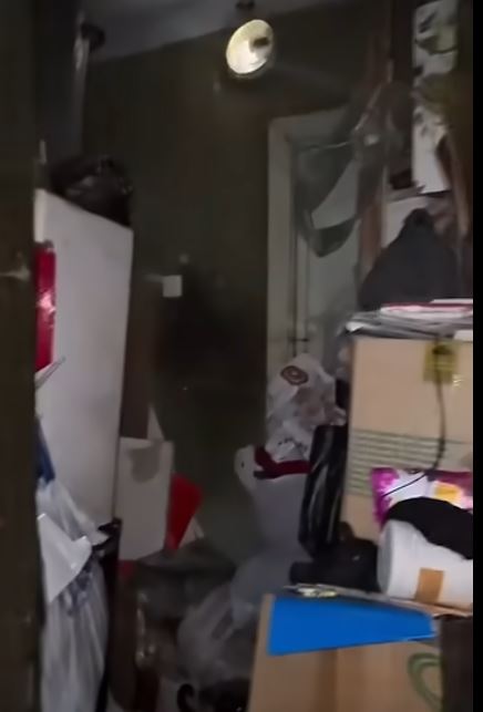 قوقىس