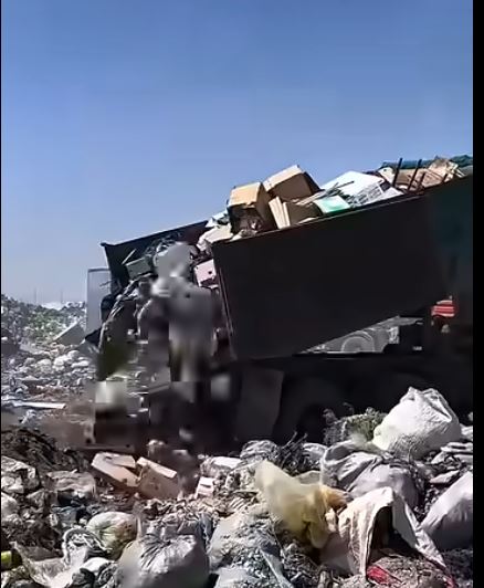 قوقىس