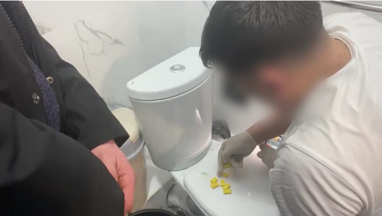 استانادا ەكى پاتەردە ەسىرتكىنىڭ بىرنەشە ءتۇرىن ساقتاعان ازامات ۇستالدى