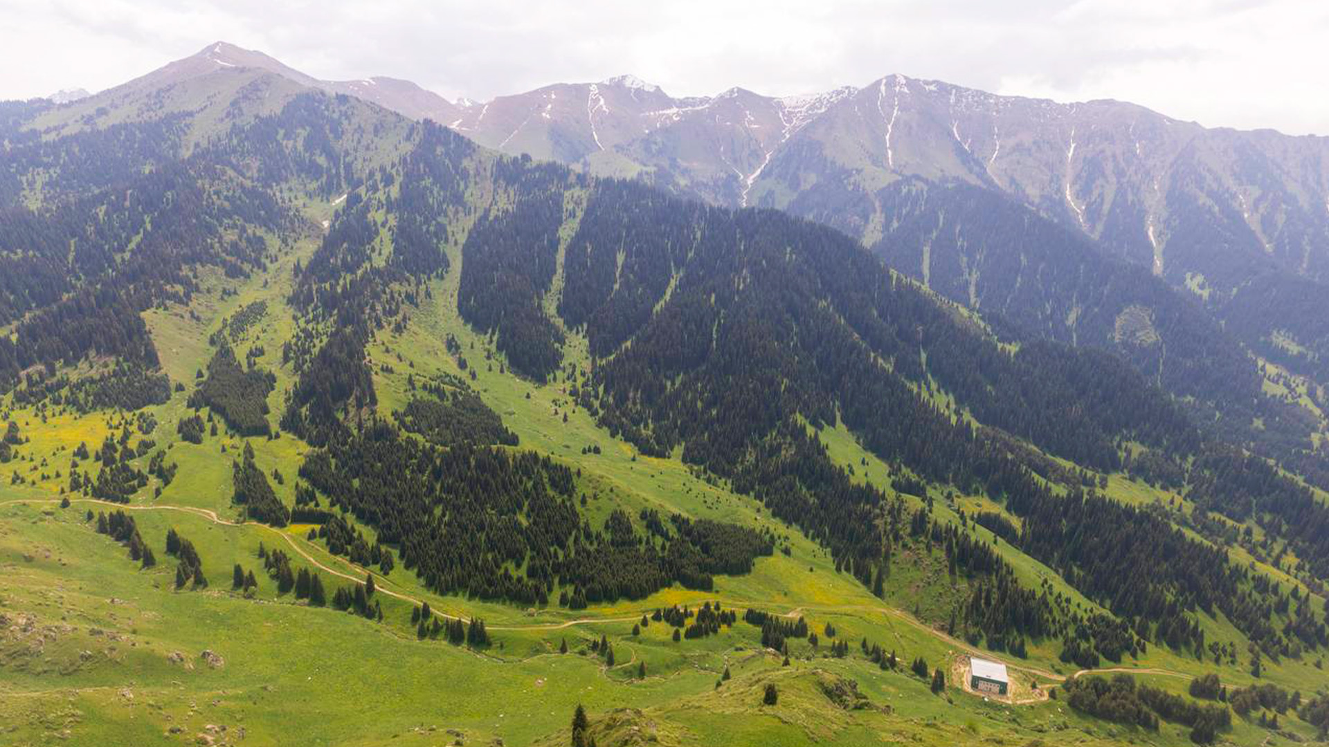 Almaty Superski: كوكجايلاۋدا قاۋىپسىزدىك قالاي قامتاماسىز ەتىلەدى؟