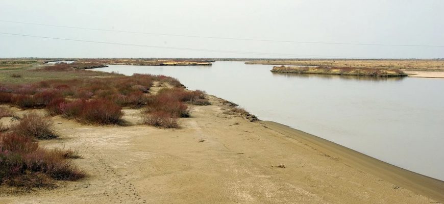 قىزىلوردا وبلىسىندا جوعالىپ كەتكەن 6 جاسار قىزدىڭ ءمايىتى تابىلدى